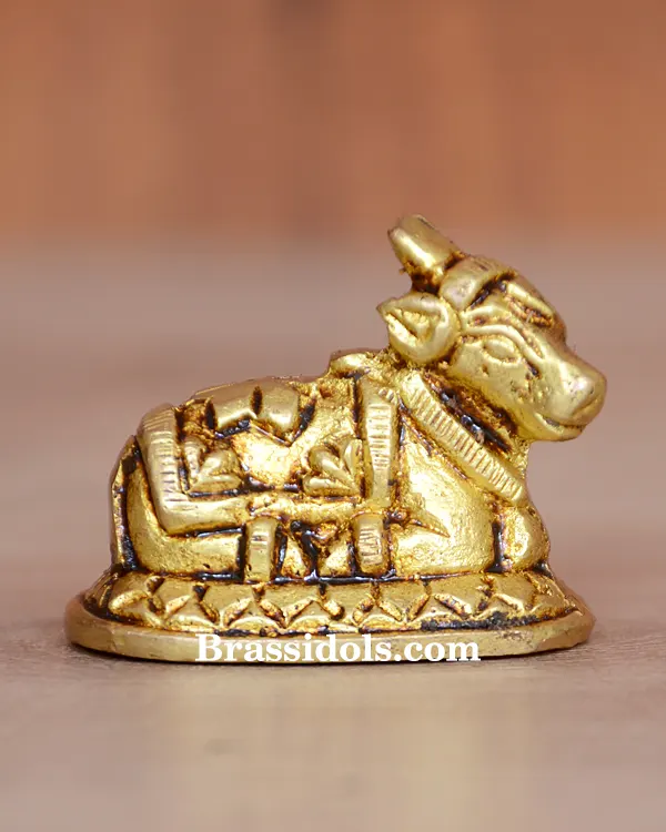 Nandi 70gm - image 1