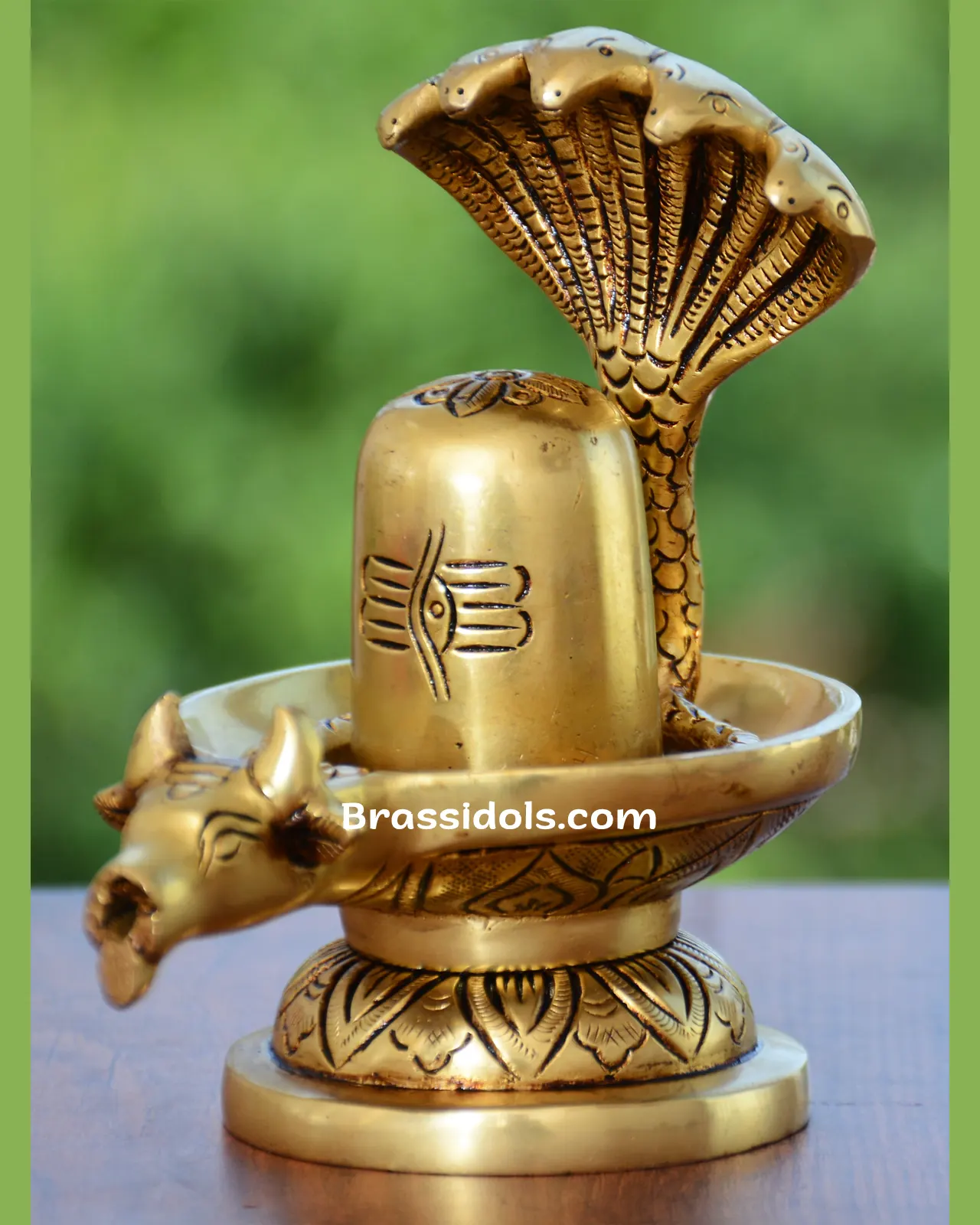 Nag Shivling - image 1