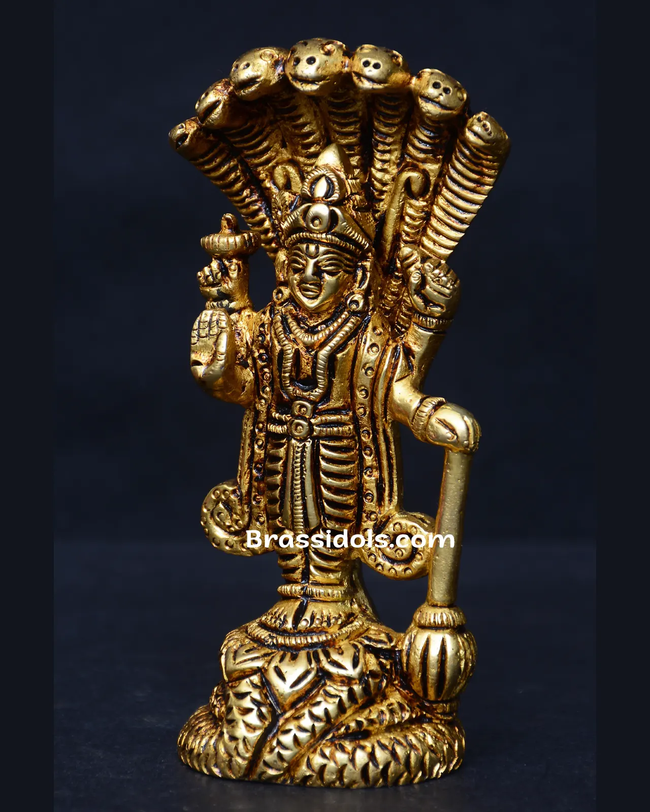Standing Nag Vishnu - image 2