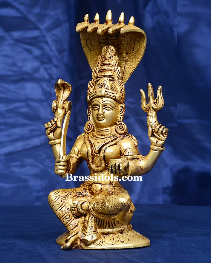 Karmani Nag - image 2