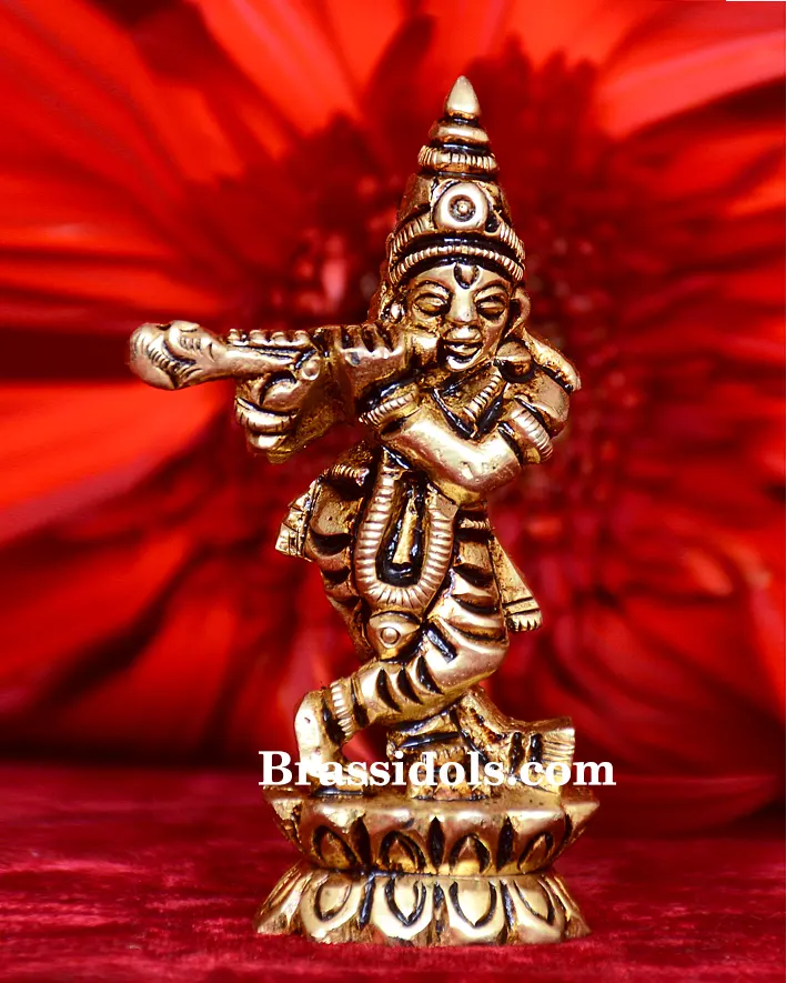 Standing Kamal Krishna - image 1