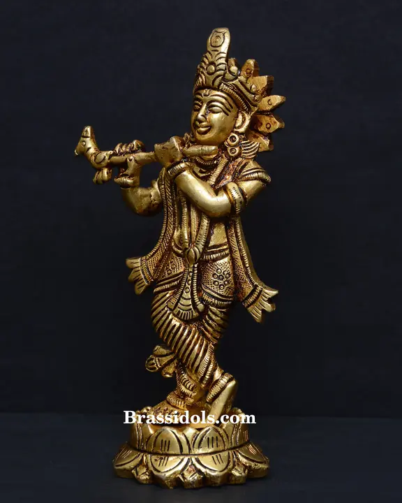 Kamal Krishna - image 2