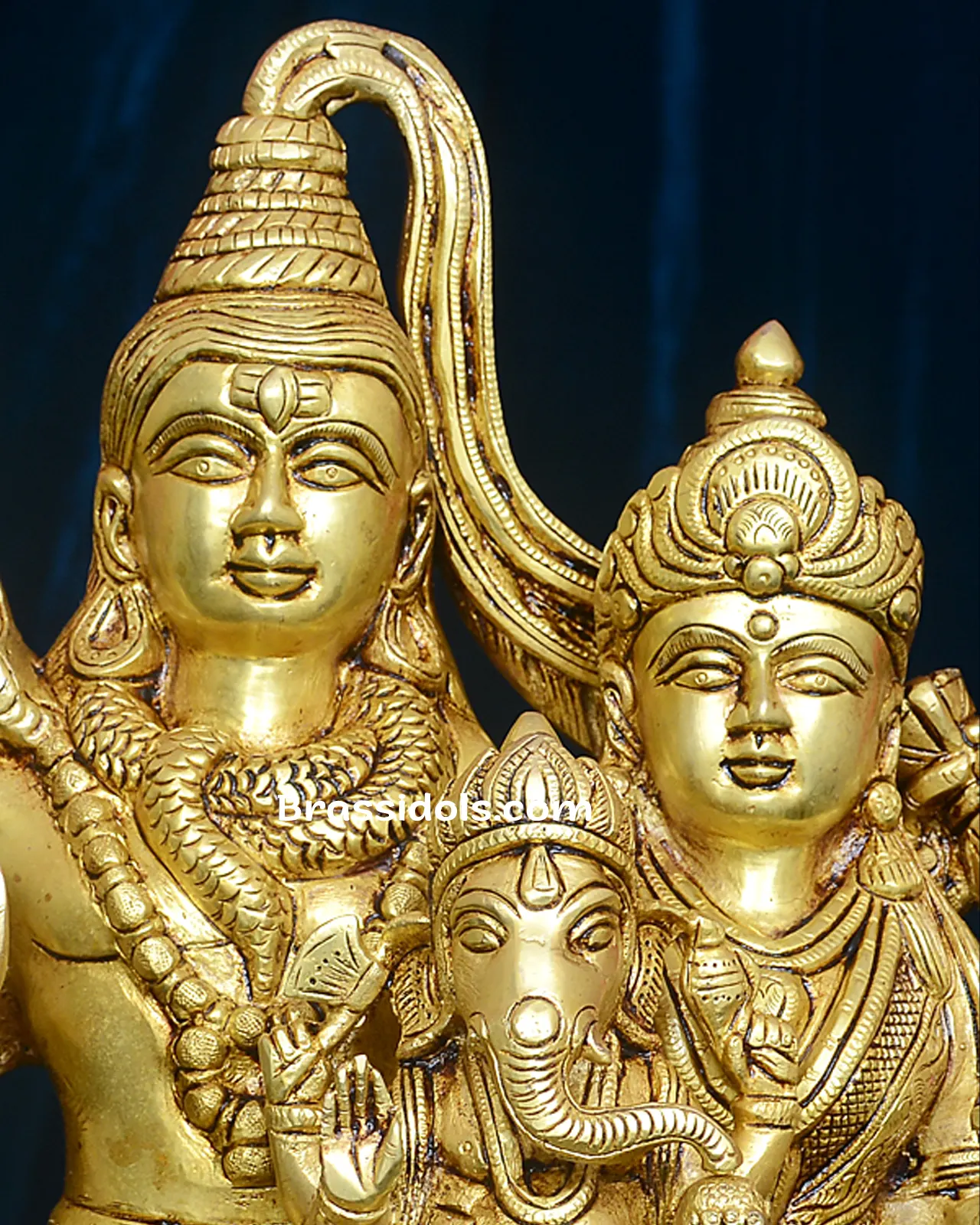 Shiv Family - image 2