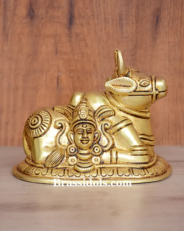 Shiva Nandi Maharaj - image 1