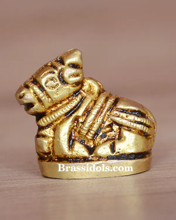 Nandi 30gm - image 2