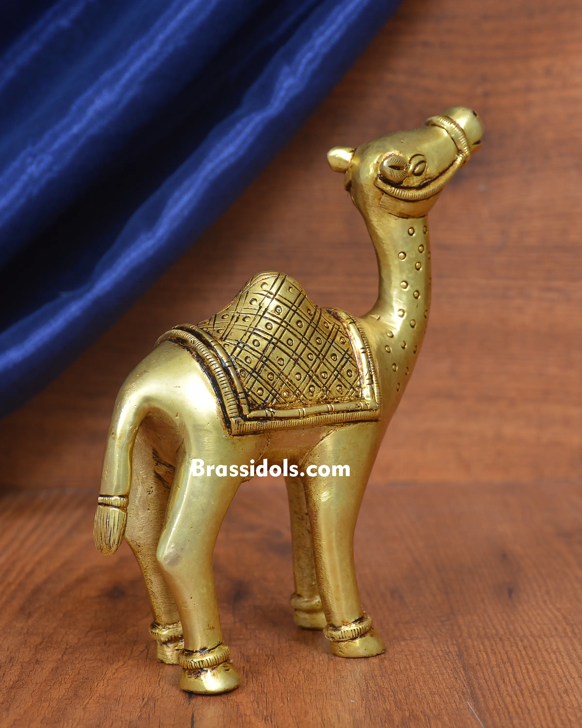 STANDING CAMEL - image 2