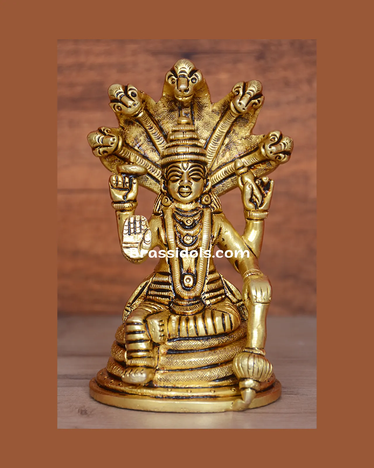 Nag Vishnu - image 1