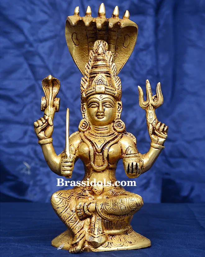 Karmani Nag - image 1