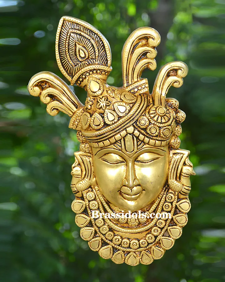 Shree Nath Ji Plate Wall Hanging - image 1