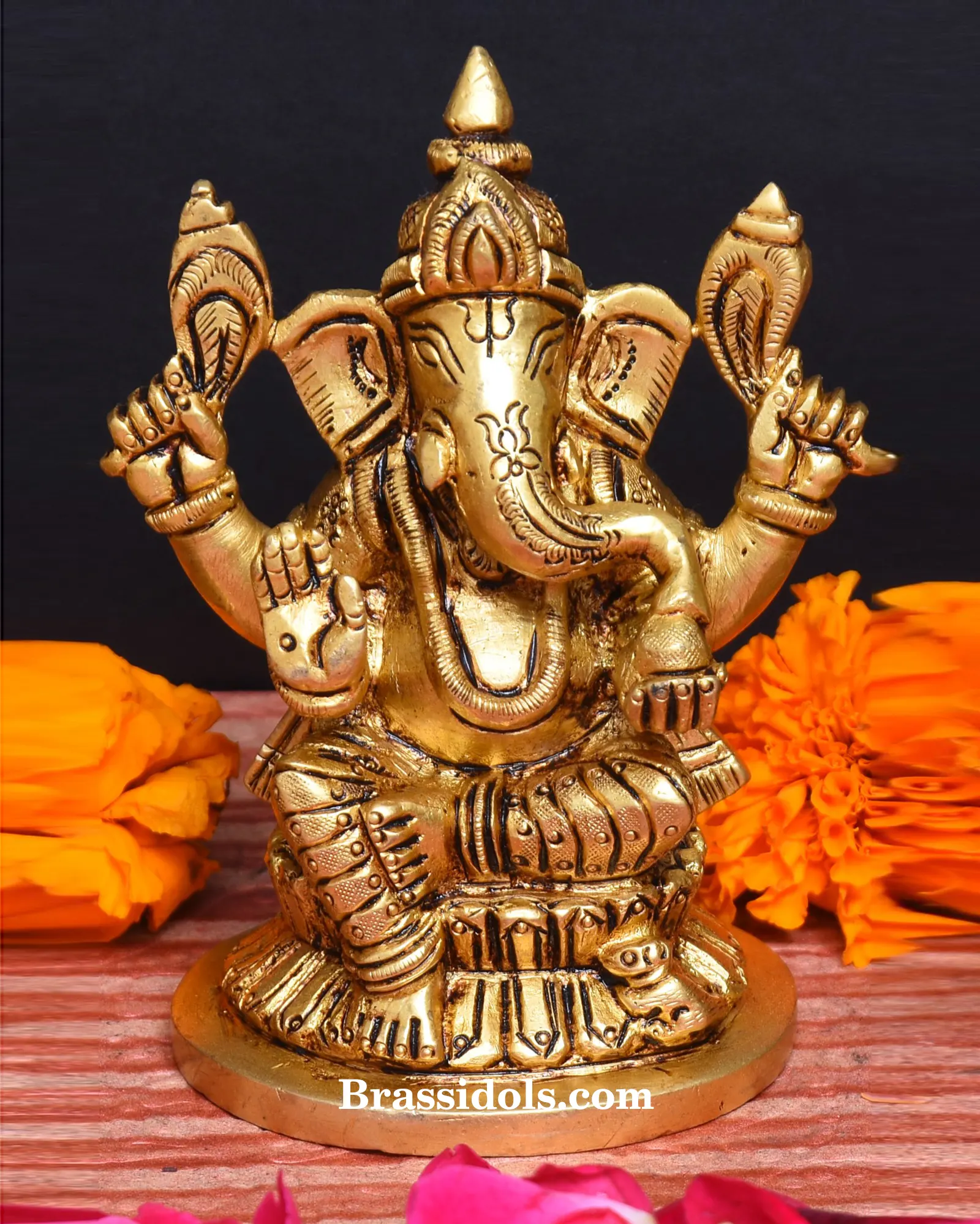 Kamal Base L+G+S - image 2