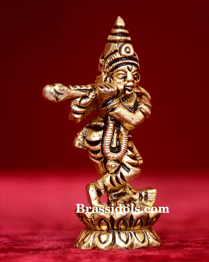 Standing Kamal Krishna - image 2