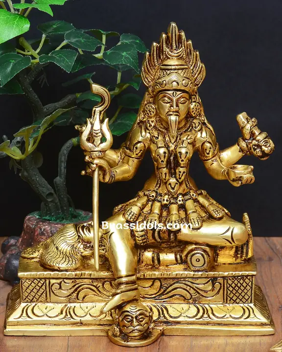 Kali with Base - image 1