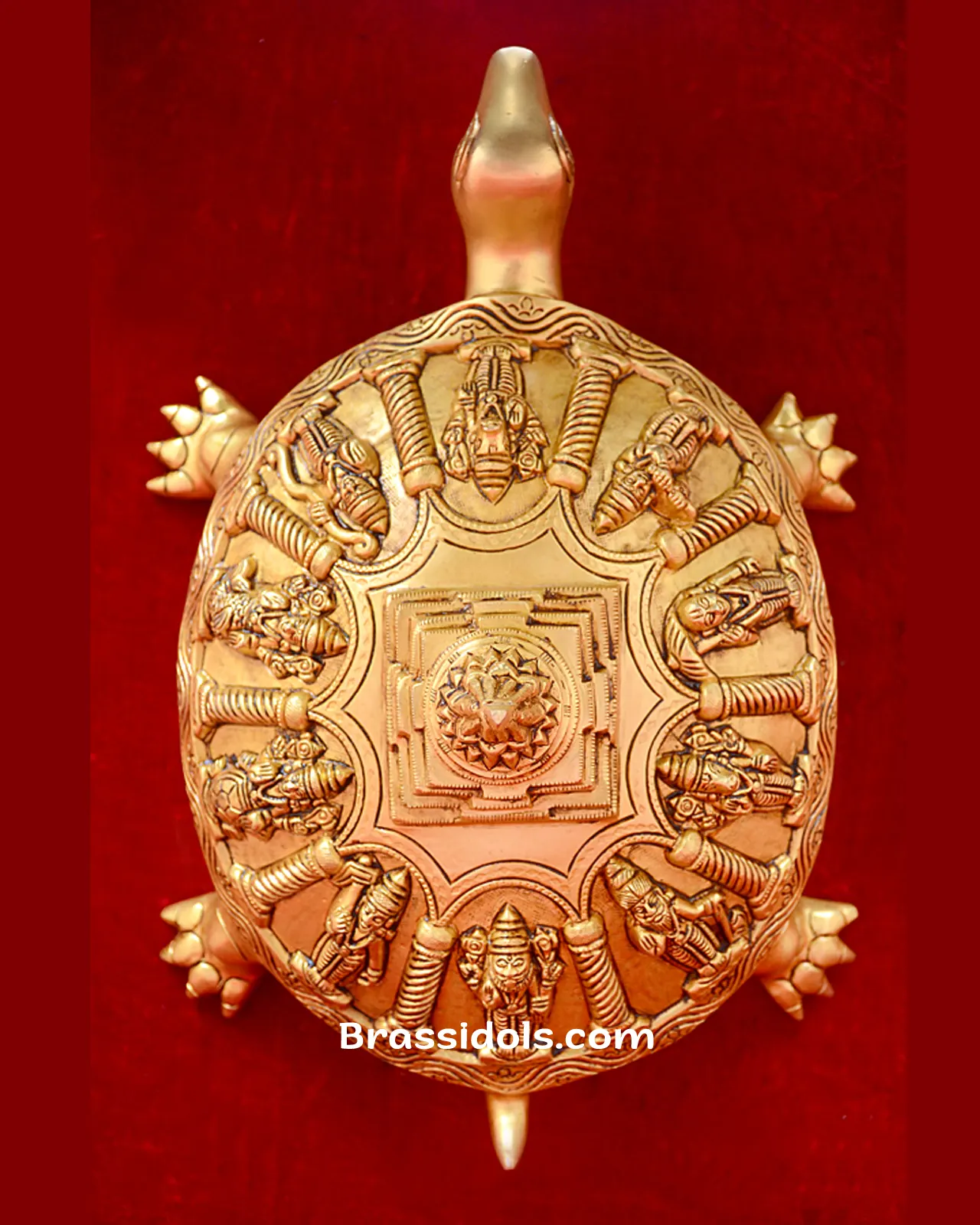 Tortoies Dasavtar - image 1