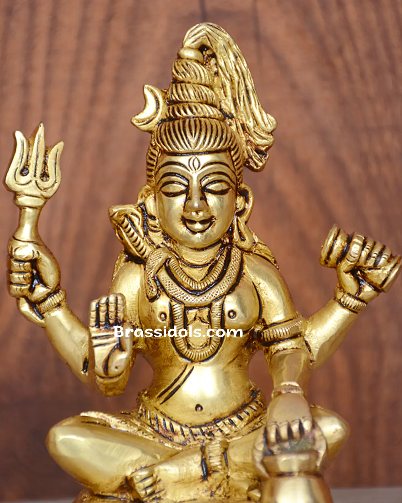 Shiva - image 2
