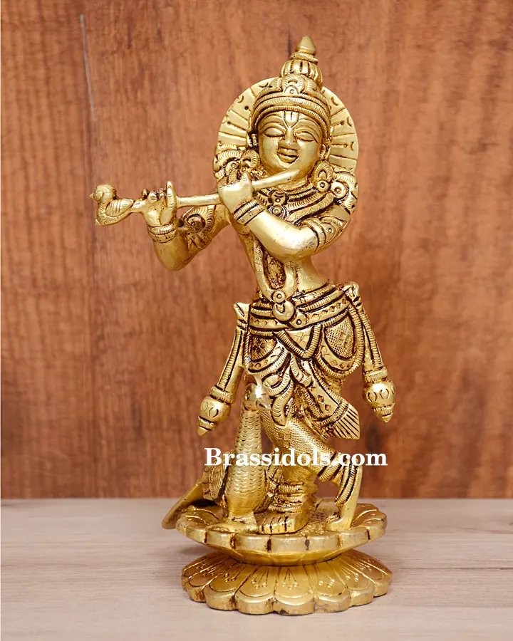 Kamal Radha Krishna - image 1