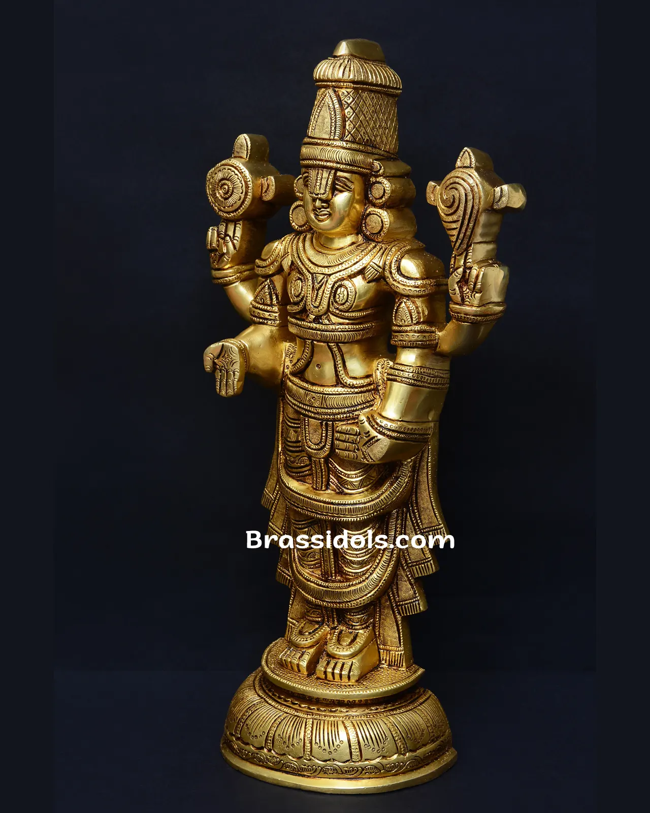 Standing T Balaji - image 2