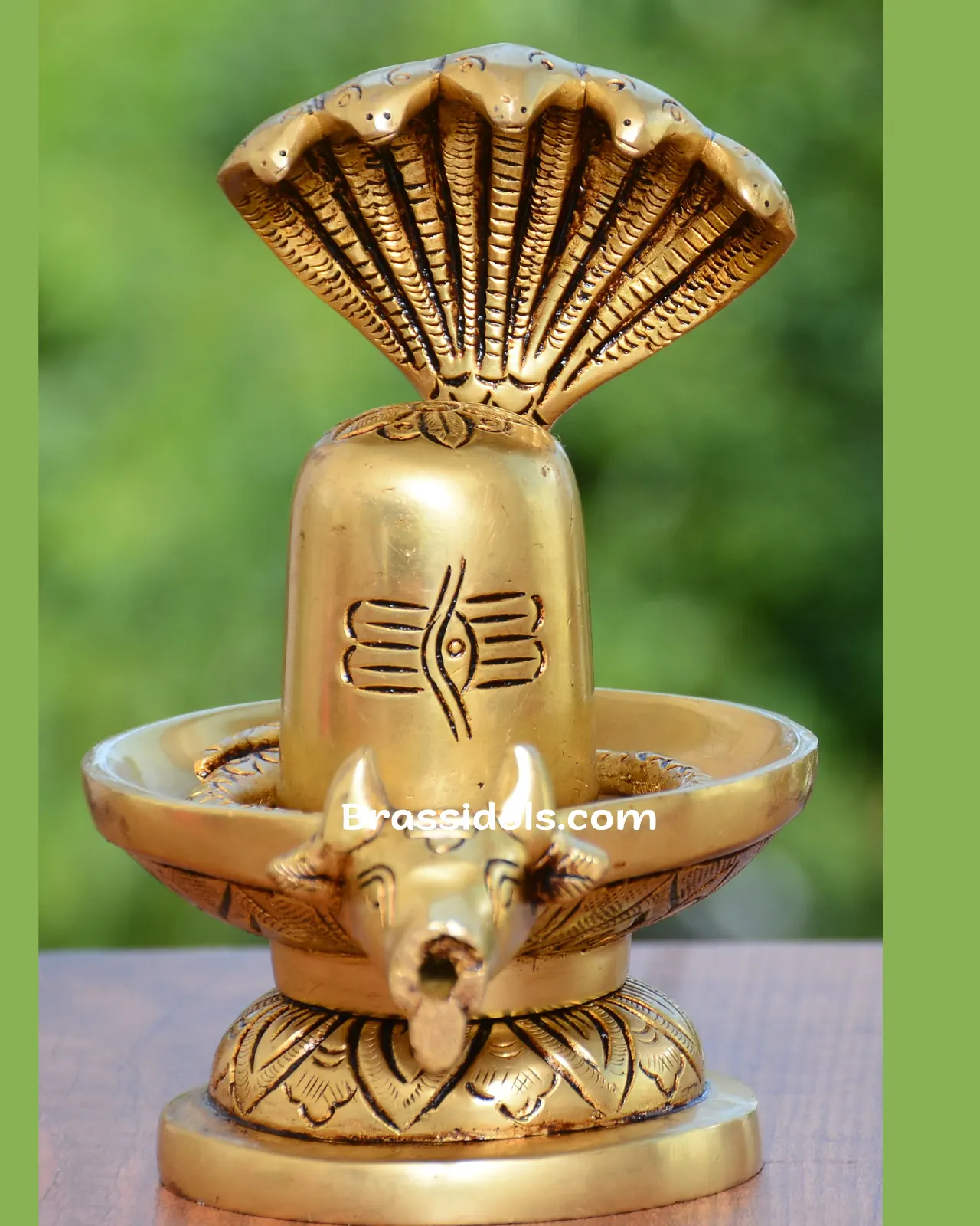 Nag Shivling - image 2