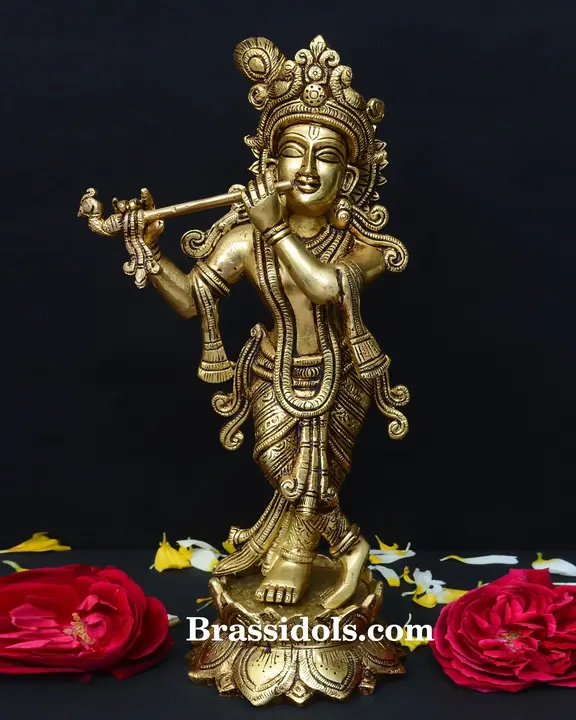 Base Kamal Krishna - image 1