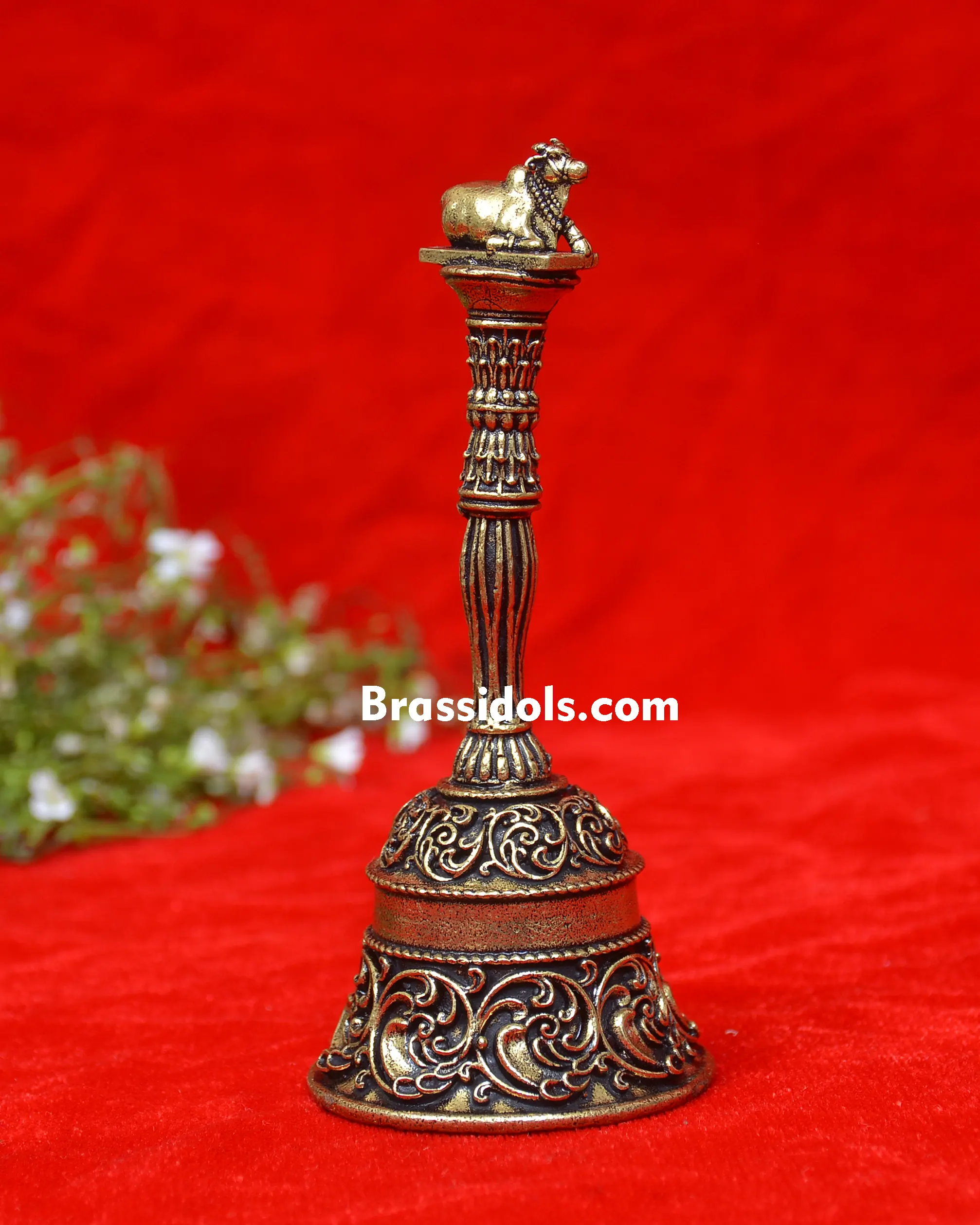 NANDI BELL - image 1