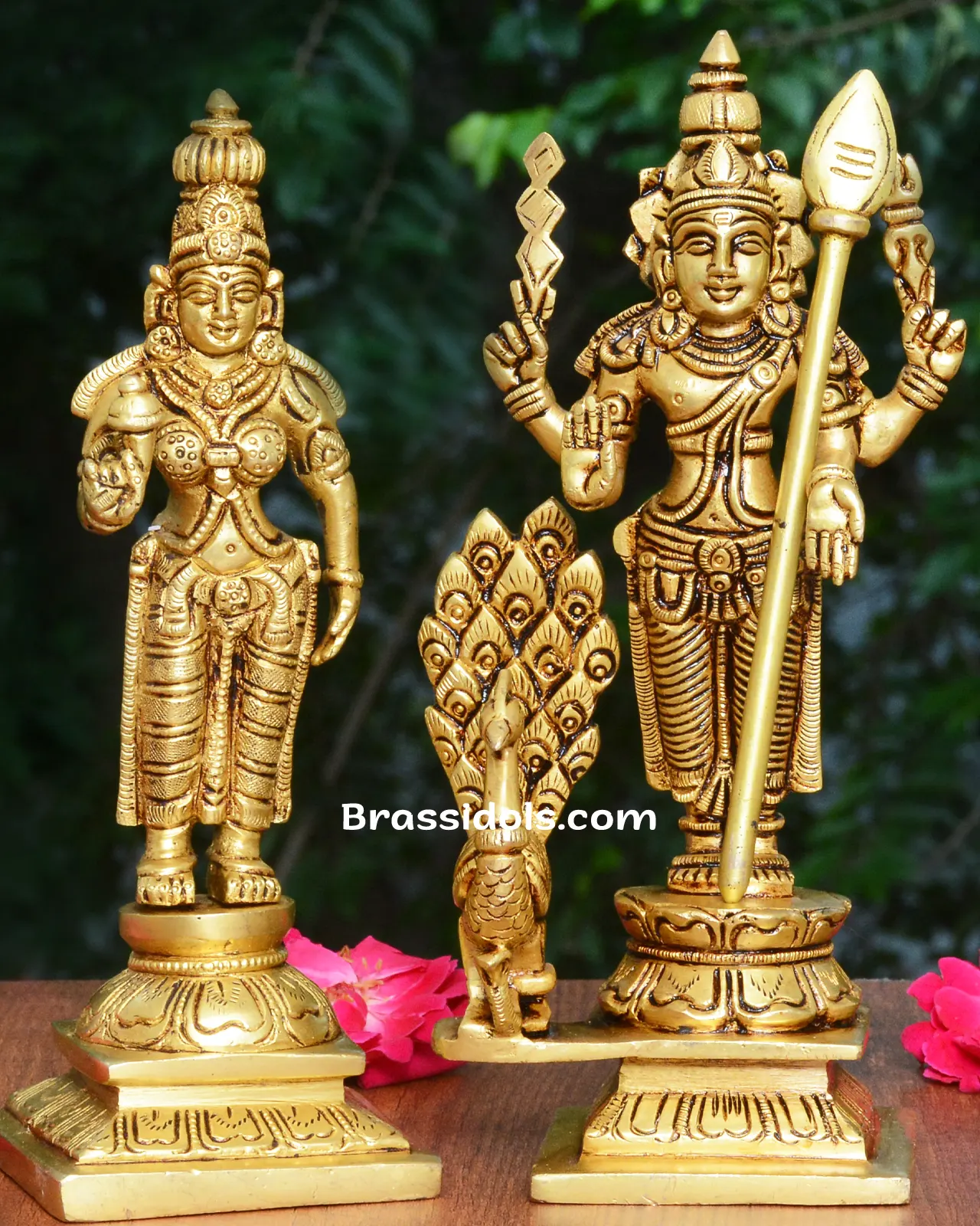 Elegant Devanai Valli Karthikeyan with Peacock Brass Idol - image 2