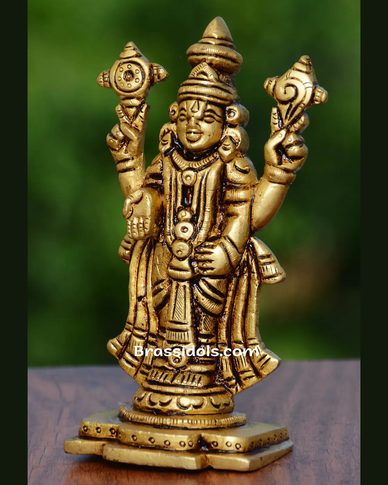 Balaji - image 2