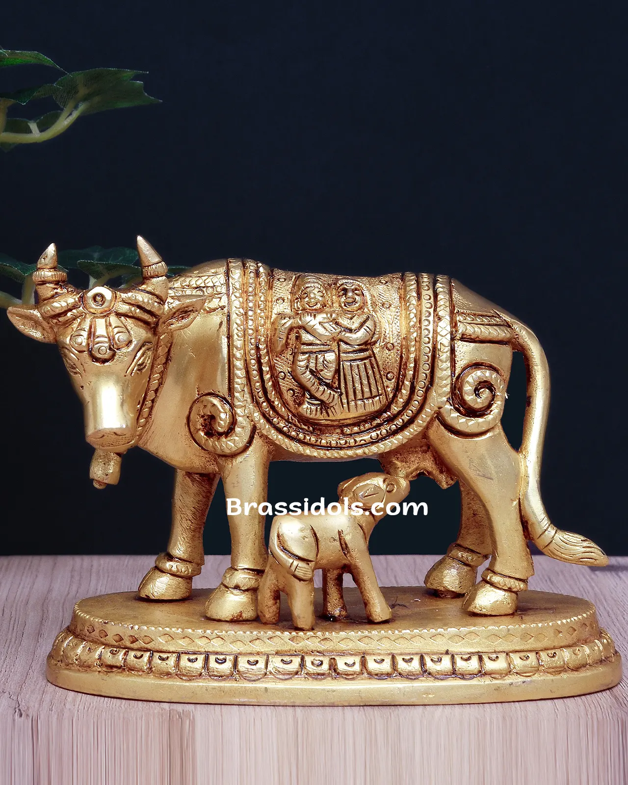 Cow Calf R+K - image 1