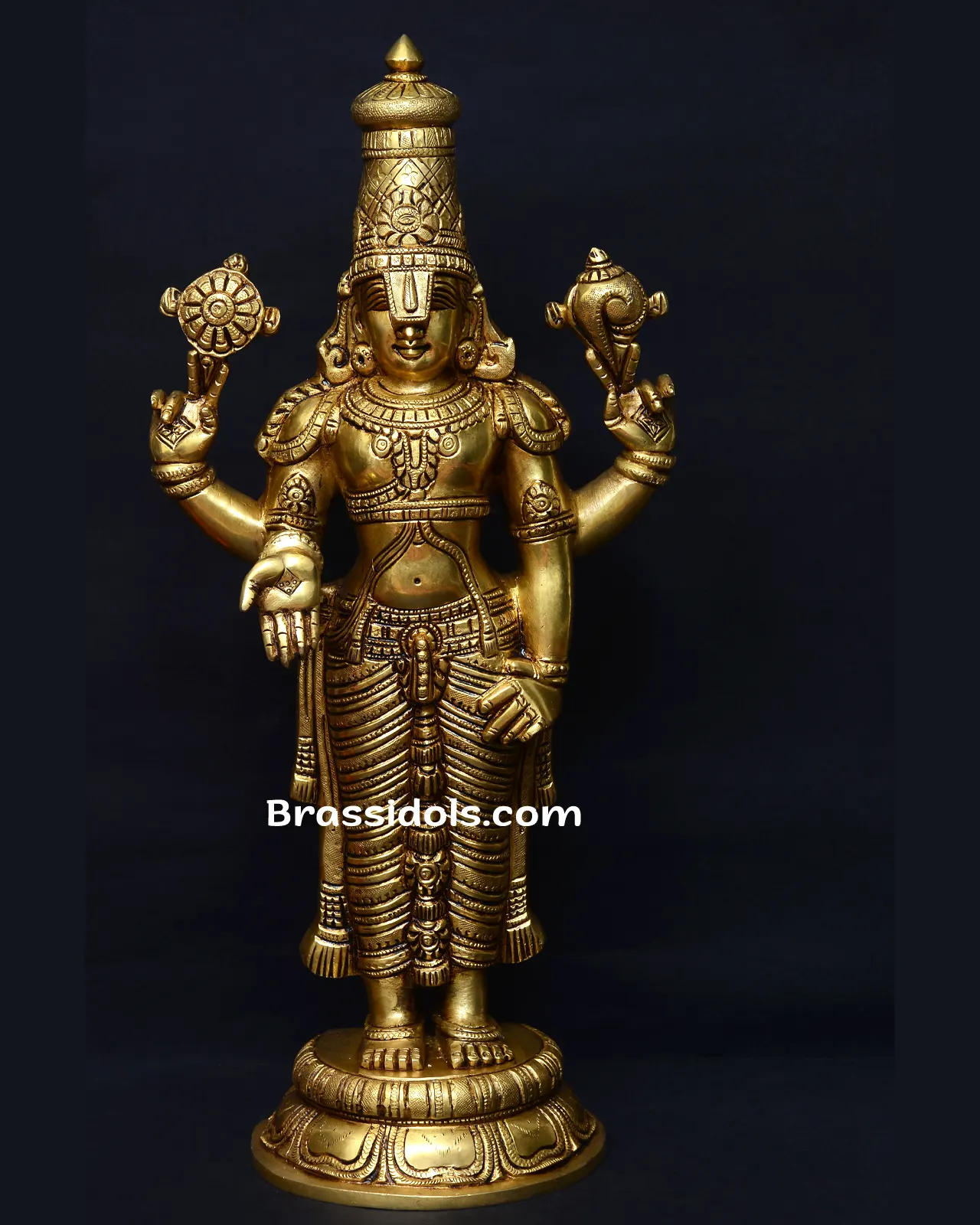 T Balaji Standing - image 1