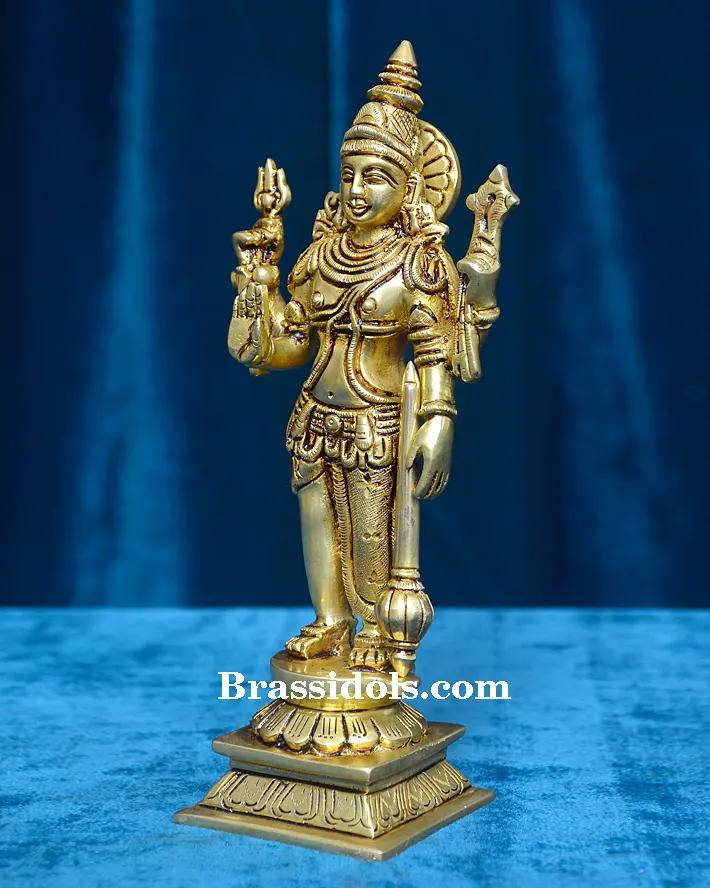 Vishnu Narayana - image 2