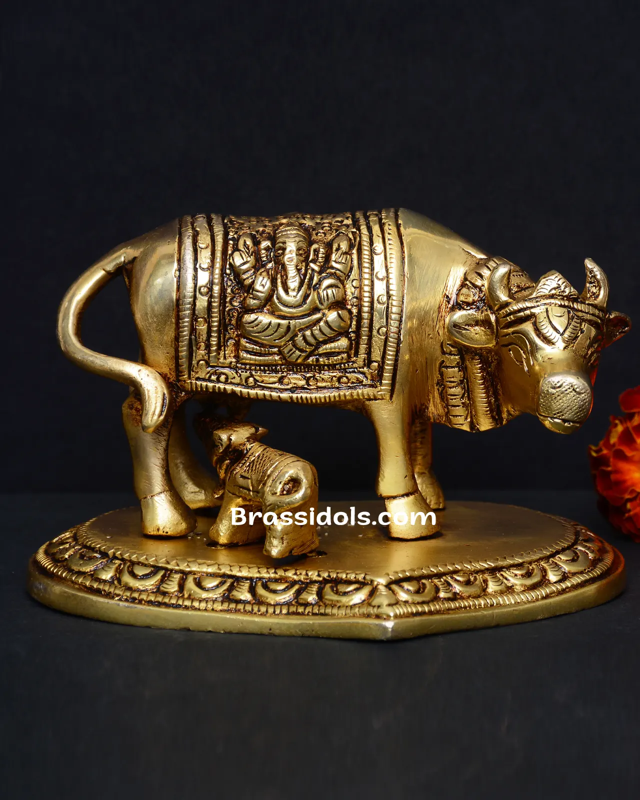 Pan CowCalf - image 1