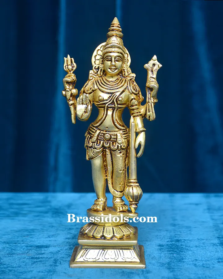 Vishnu Narayana - image 1