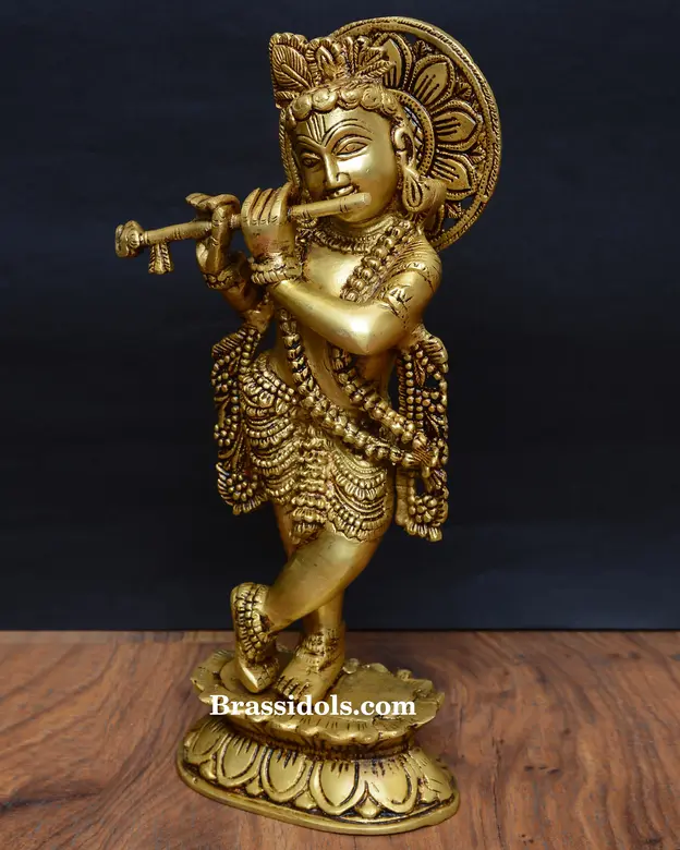 Kamal Krishna - image 2