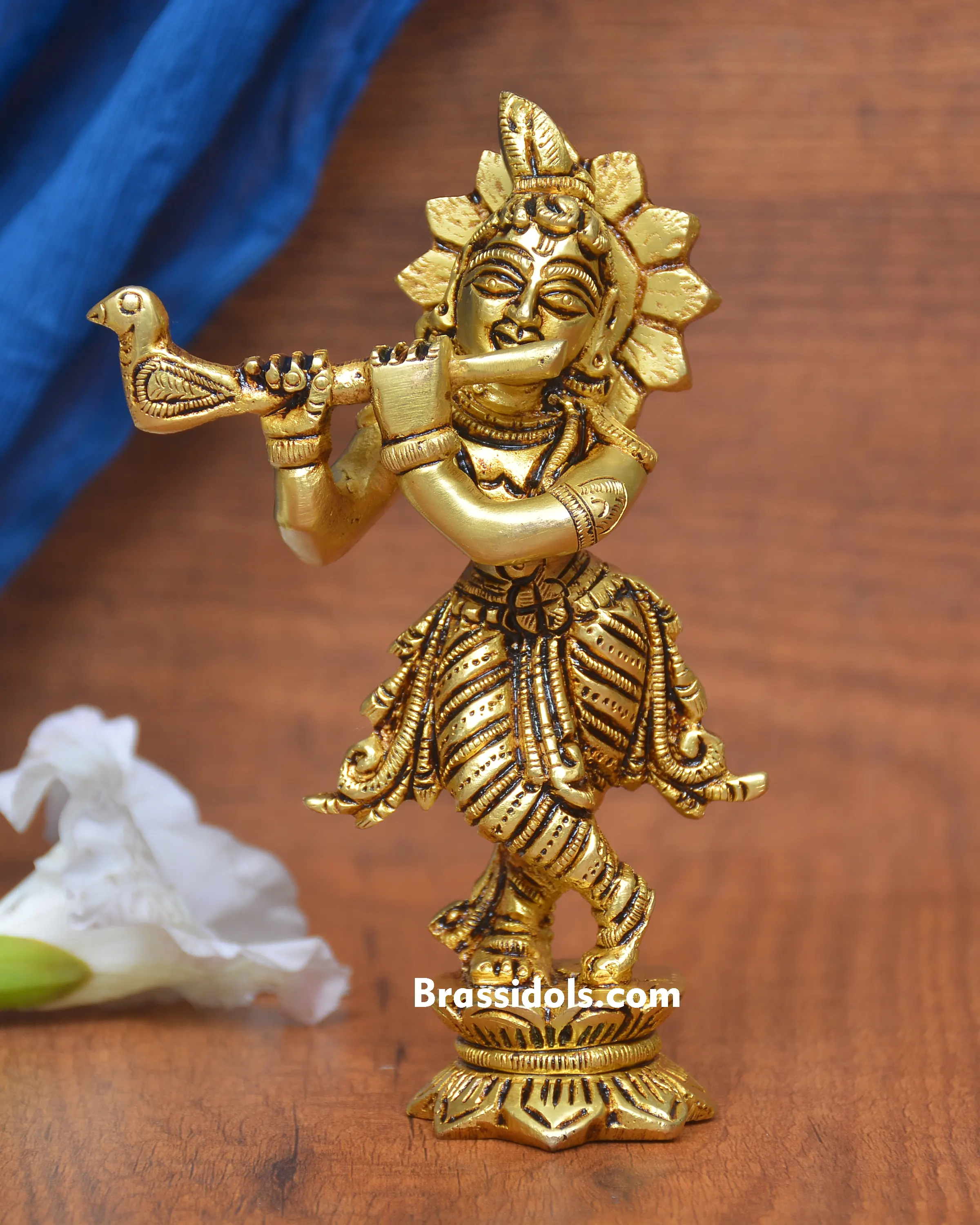 STANDING KAMAL KRISHNA - image 1