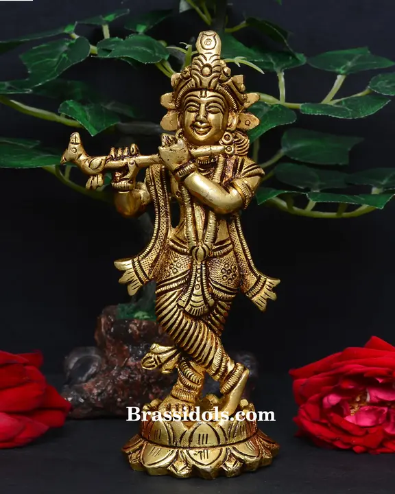 Kamal Krishna - image 1