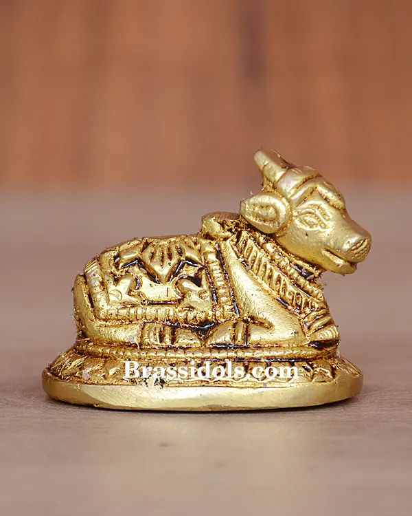 Nandi 100gm - image 1