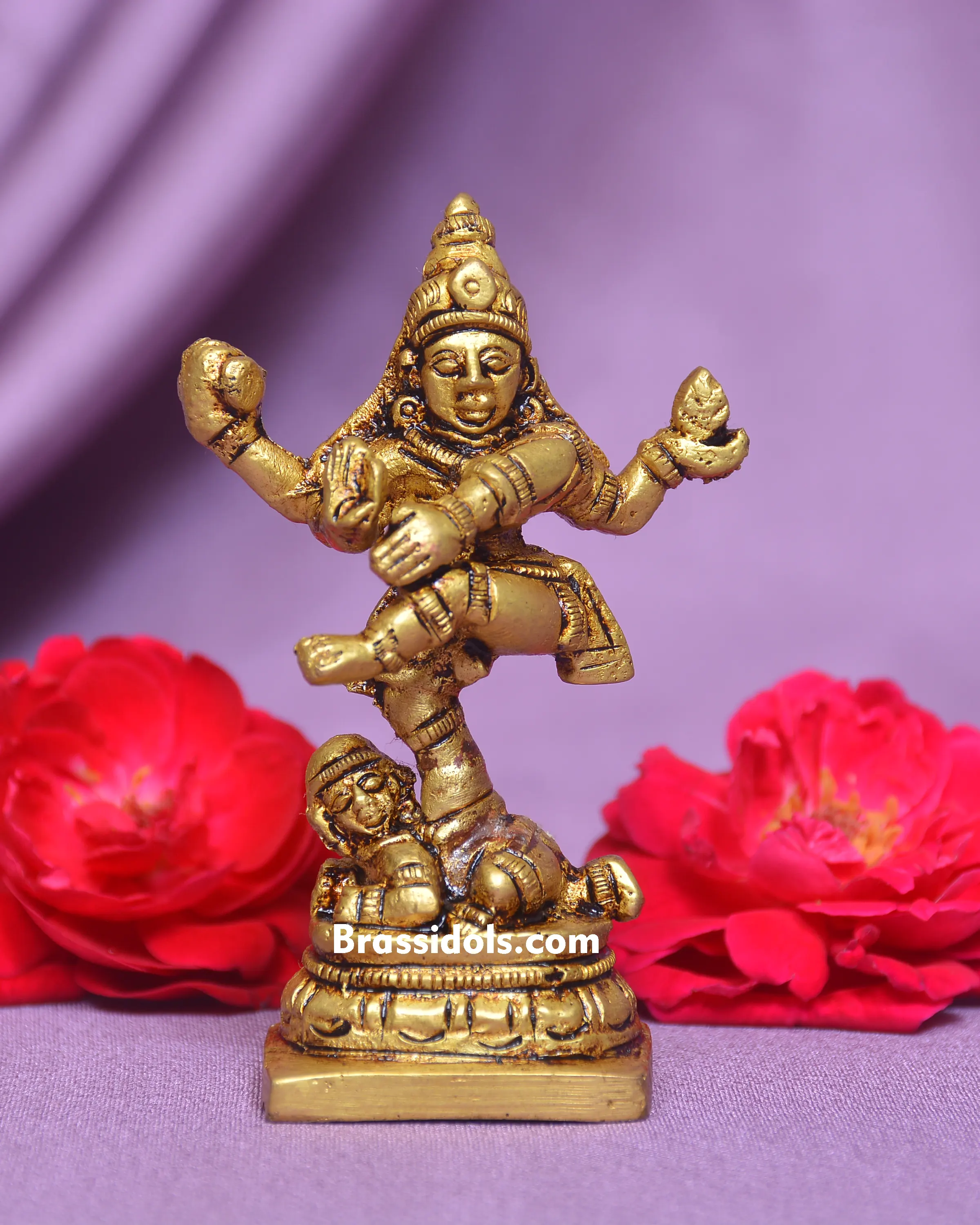 NATRAJ IDOL - image 2