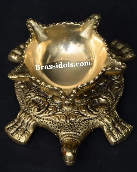 Tortoise Deepak - image 1