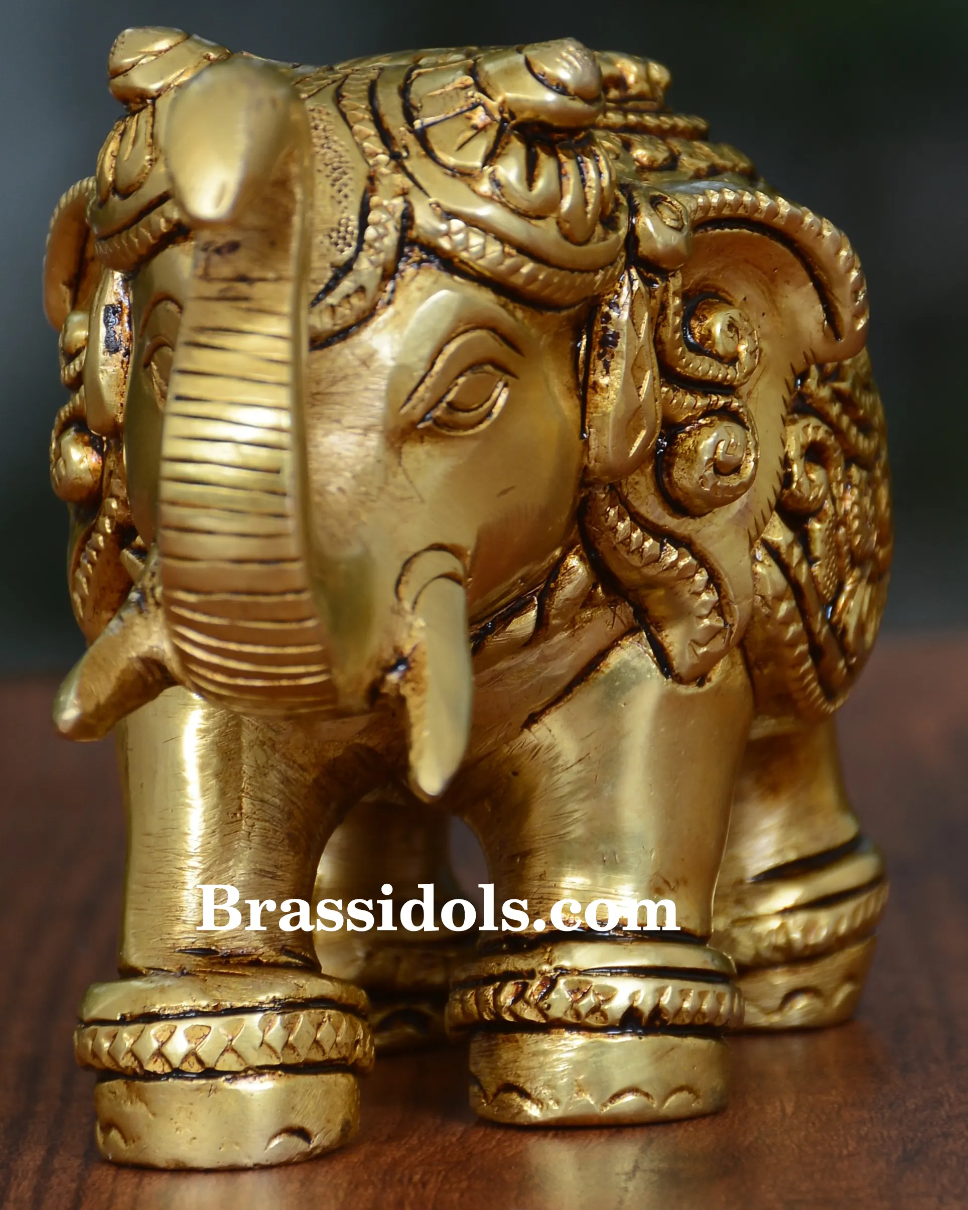 Arihant Elephant - image 2