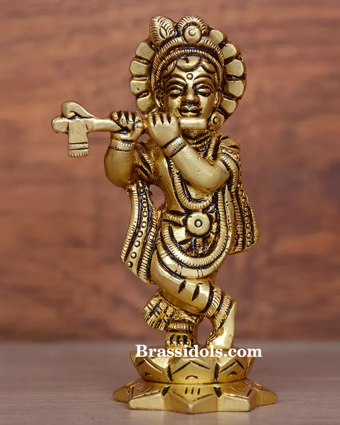 Standing with Kamal Krishna - image 1