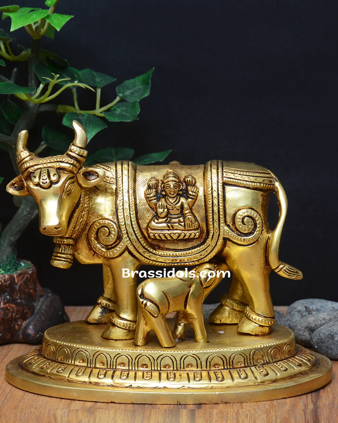 Cow Calf L+G - image 1