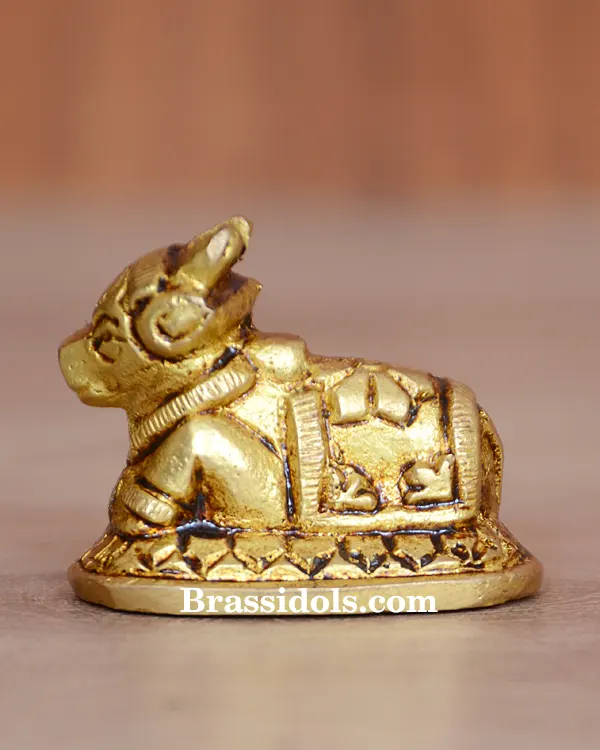 Nandi 70gm - image 2