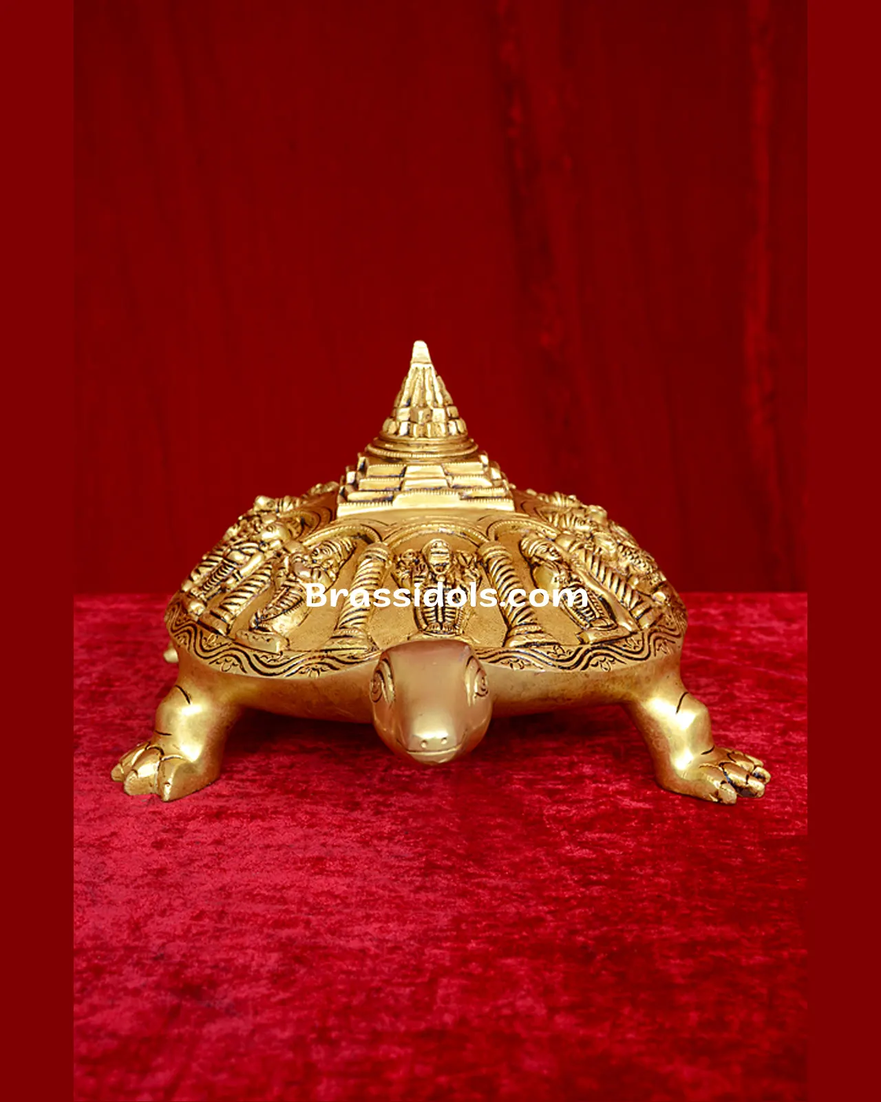 Tortoies Dasavtar - image 2