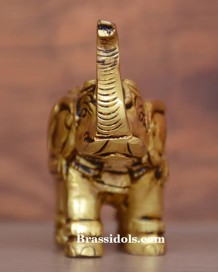Elephant Shank Chakra - image 1