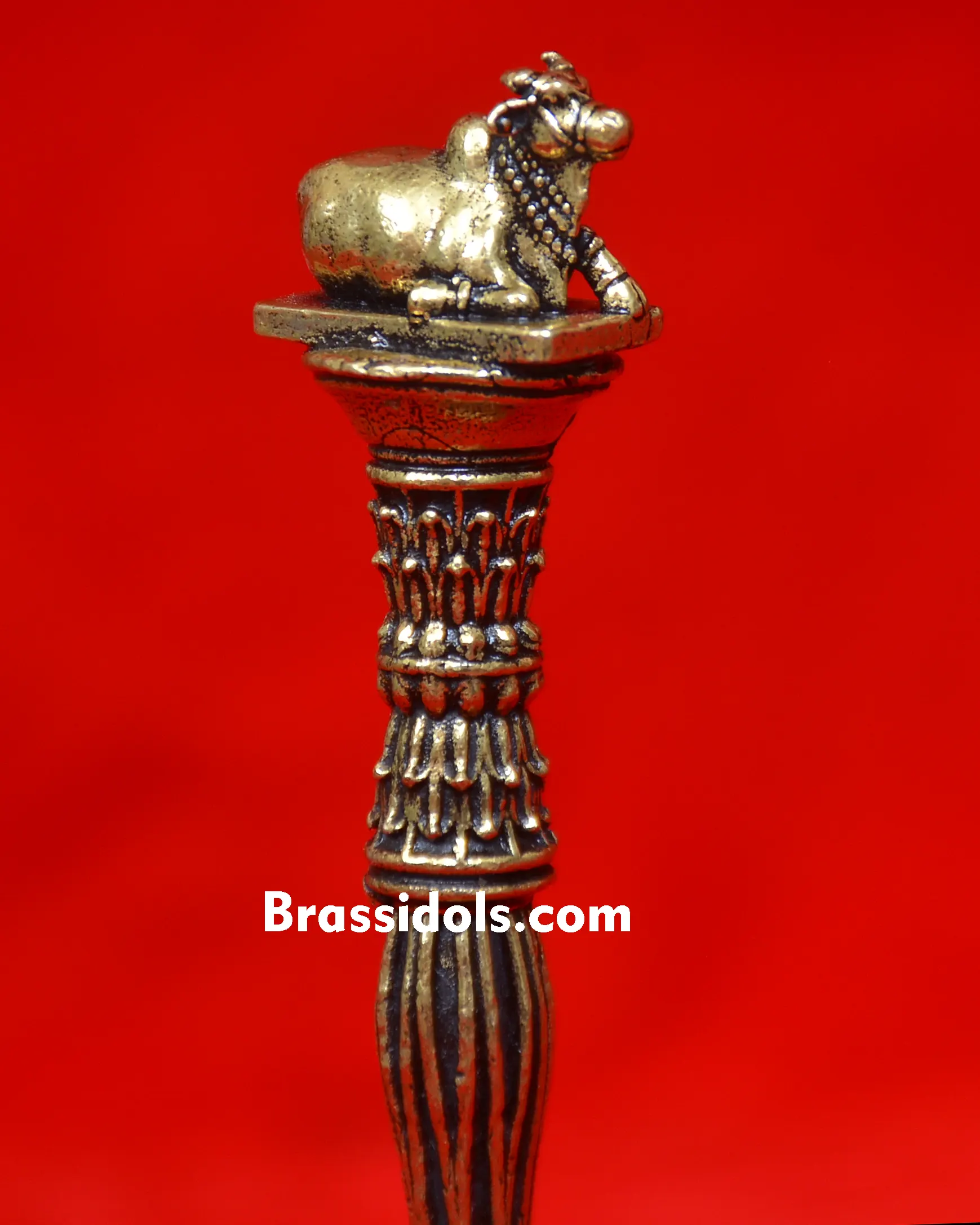 NANDI BELL - image 2