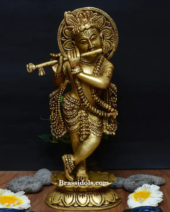 Kamal Krishna - image 1