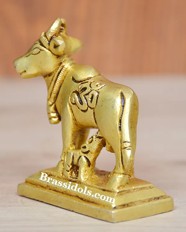 Cow calf Om right face - image 2