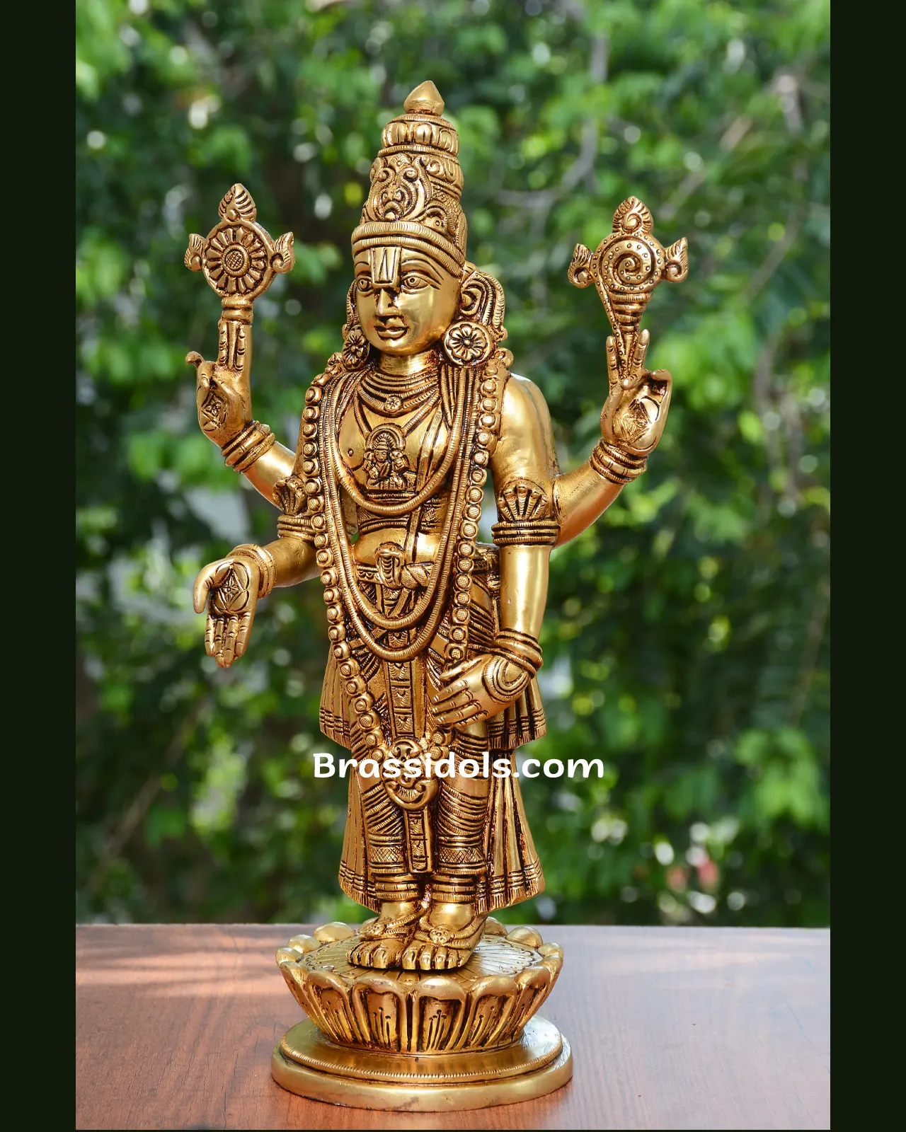 Frame w/o Balaji - image 2