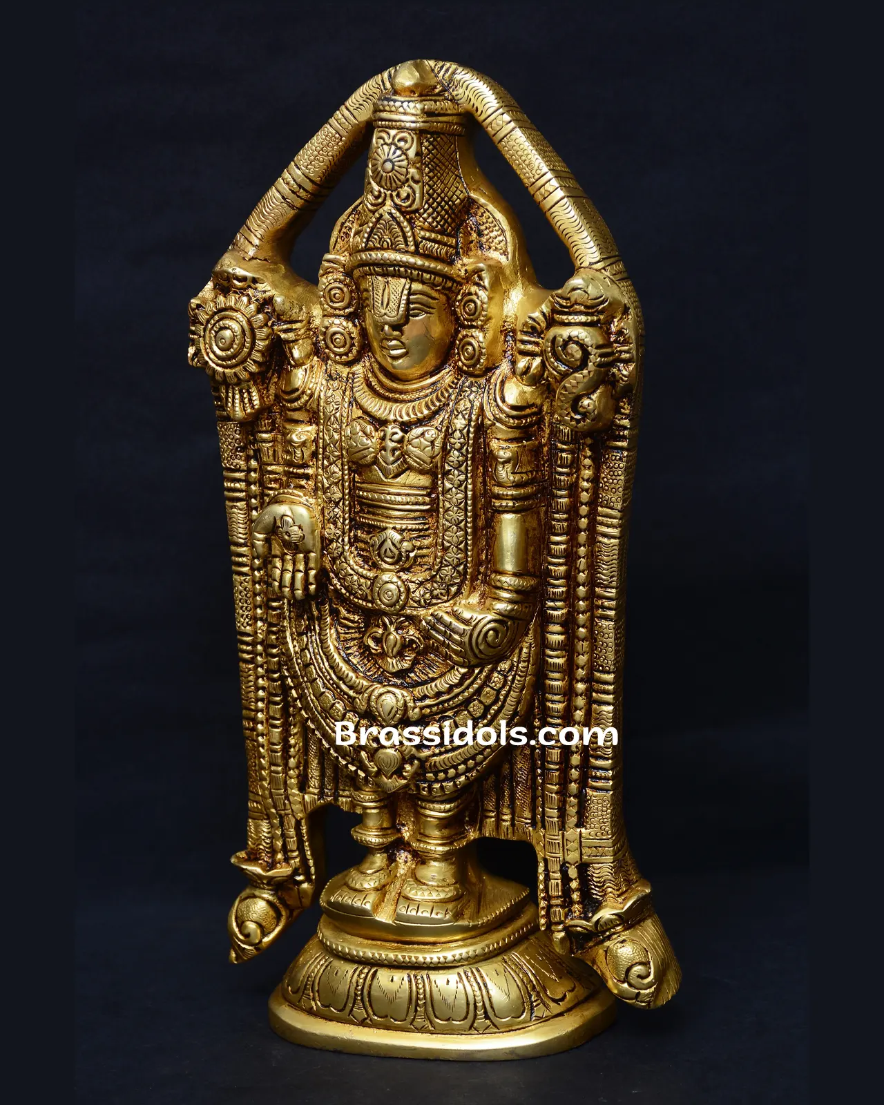 Brass T Balaji - image 2