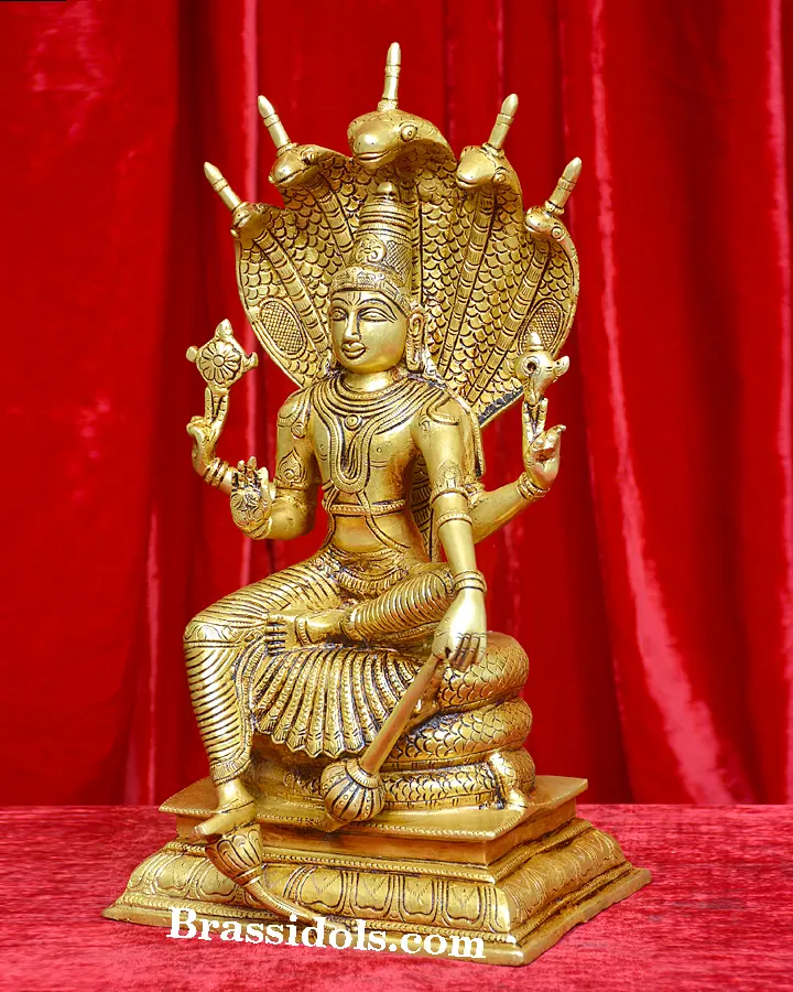 Nag Vishnu - image 2