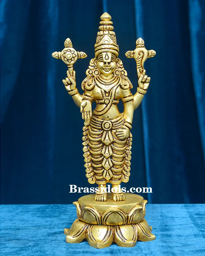 Kamal Standing Balaji - image 1