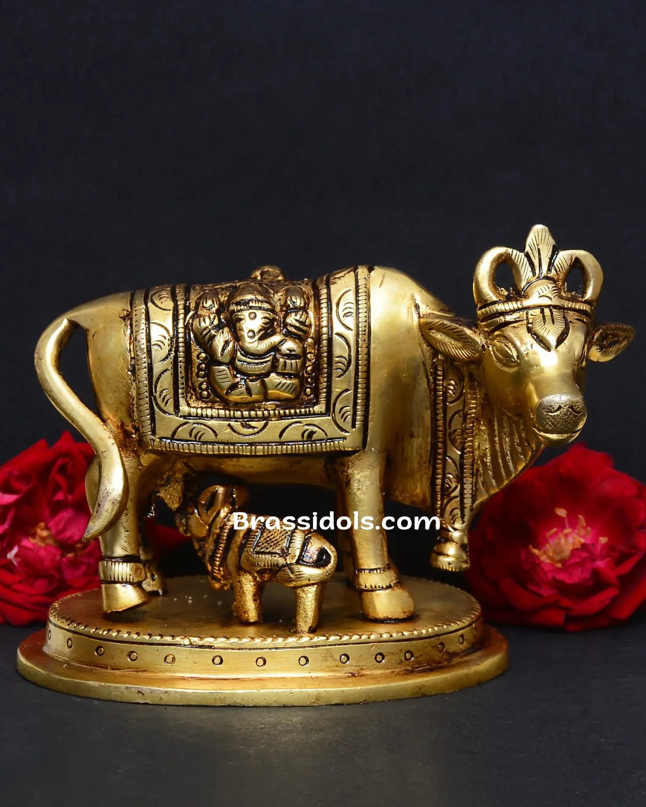 Cowcalf L+G - image 1